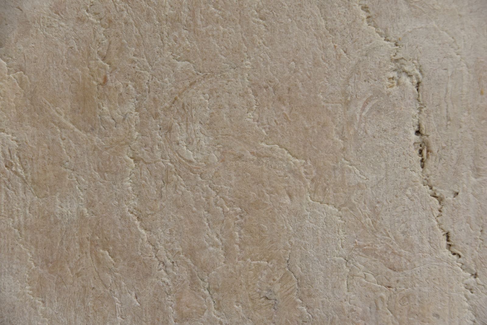 pt_202409_0089.jpg